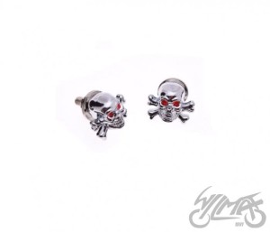 Śruba tablicy rejestracyjnej czacha chrom 2szt.