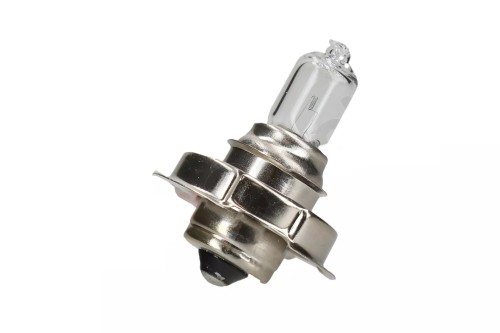 zarowka-bosma-6v-15w-p26s-halogen_1 (1)got.jpg