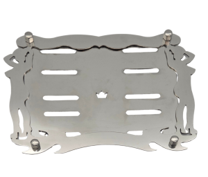 Nierdzewna podkładka pod tablicę rejestracyjną Ladies